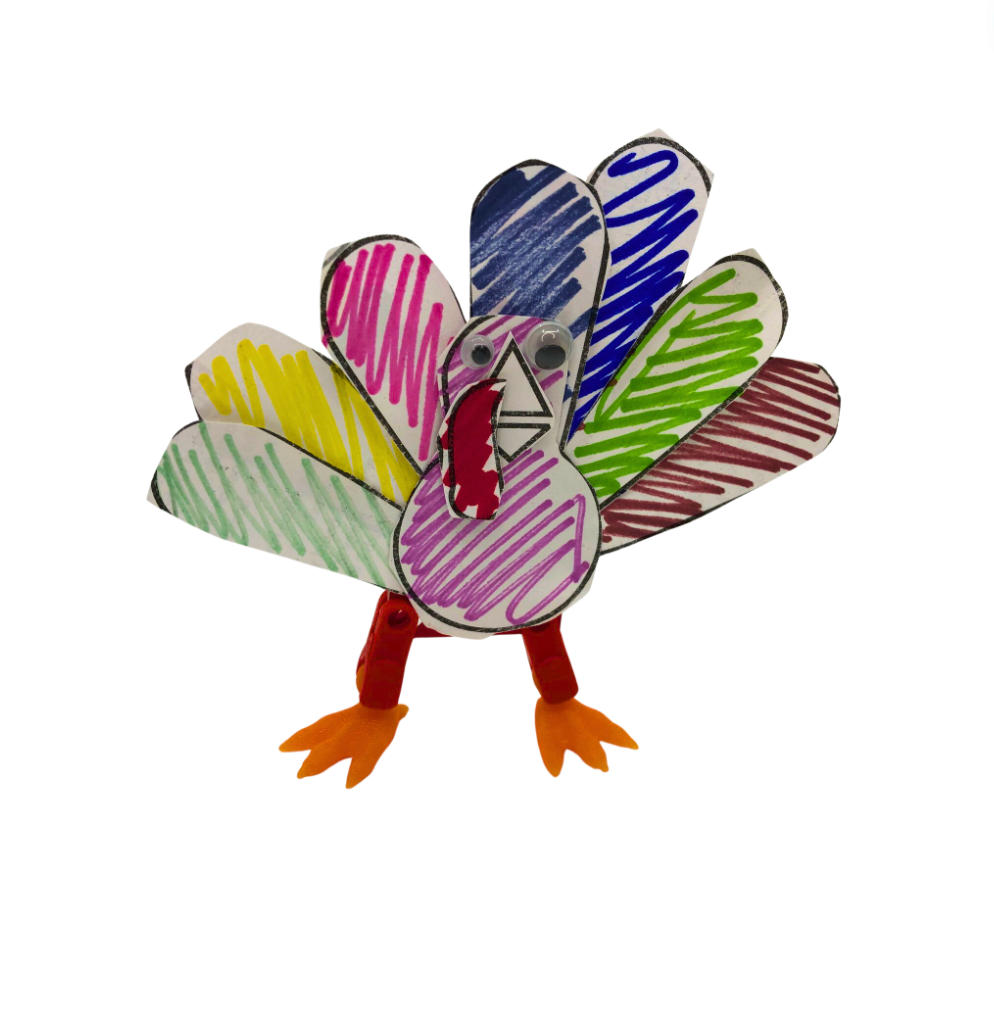 . ENGINEERING DESIGN PROCESS: TURKEY RACERS FREE Digital Download