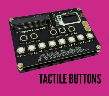 Micro:bit & Synth:bit Bundle