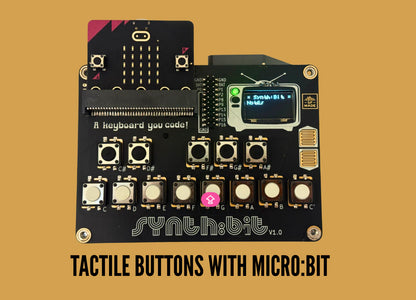 Micro:bit & Synth:bit Bundle